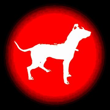 picture of dog