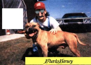 picture of dog