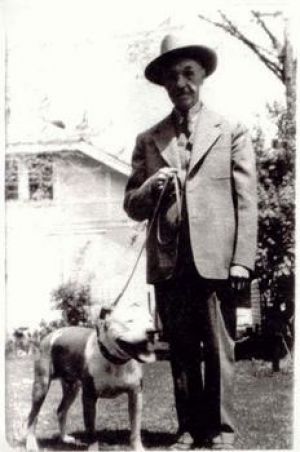 picture of dog